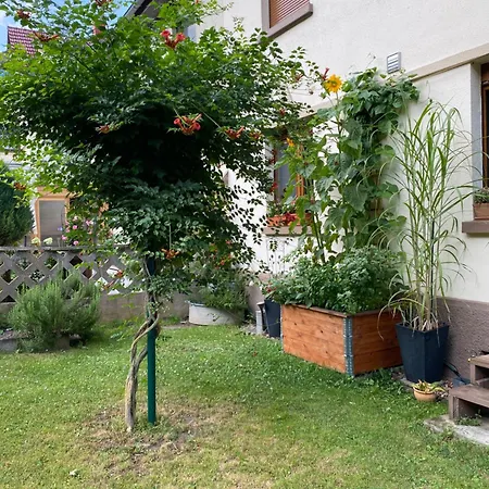 Haus Dessel Apartment