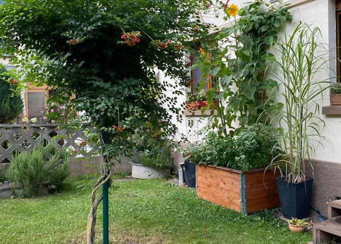 Haus Dessel Appartement