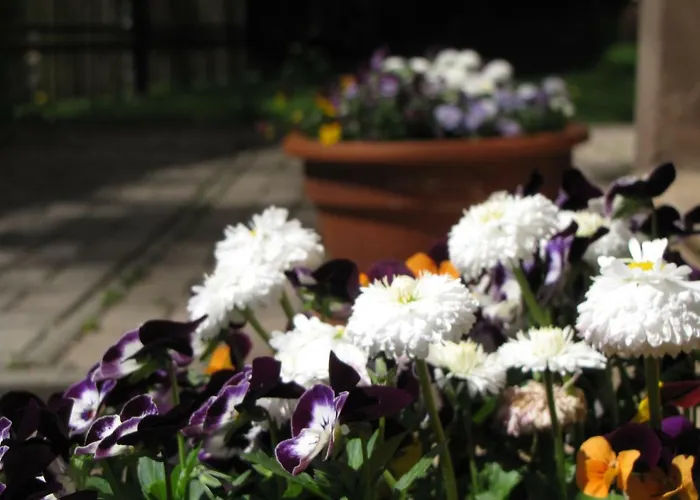 Appartement Haus Dessel